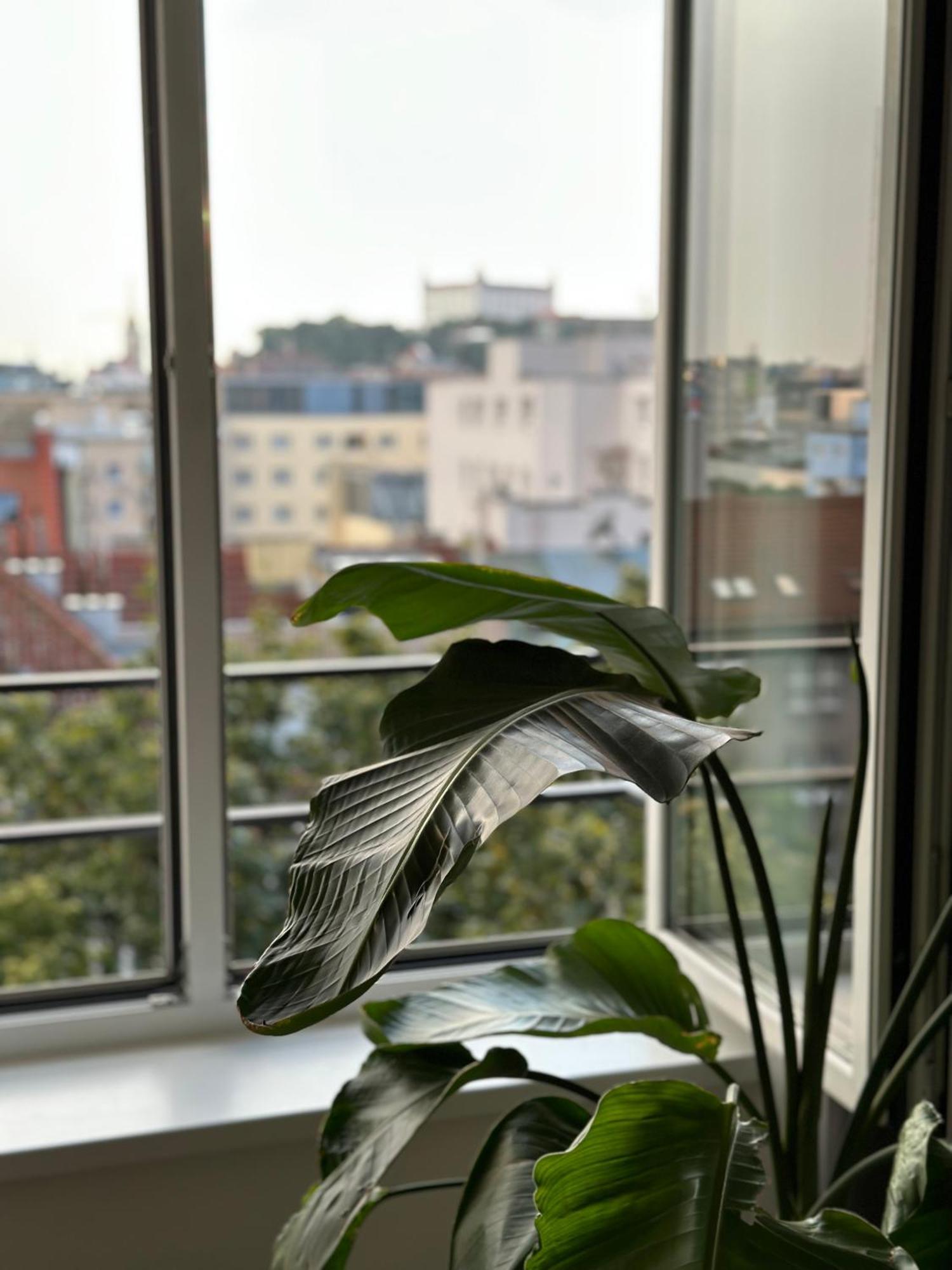 Apartamento Urban Zenhouse No.2 - Breakfast Included Bratislava Exterior foto
